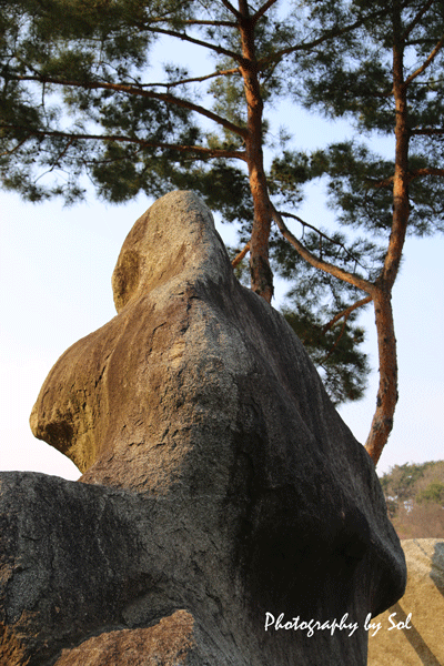 カエル岩 (3)