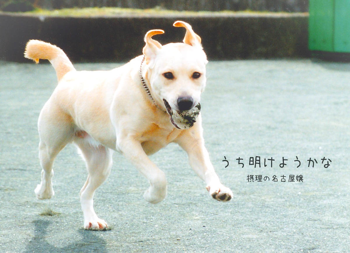 うち明けようかな