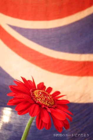 201502162156182b5